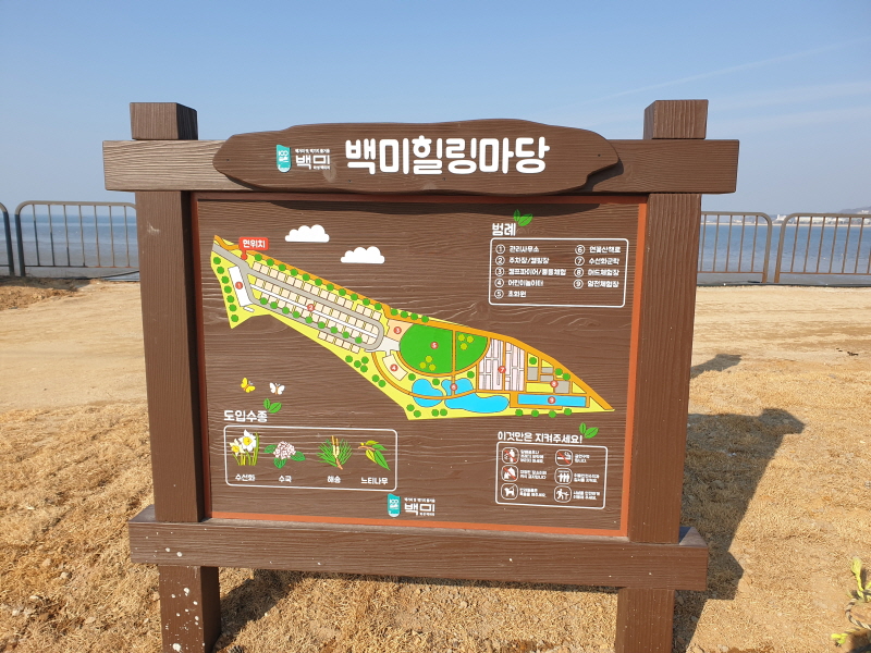백미힐링마당