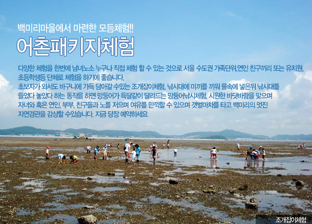 백미리 어촌체험