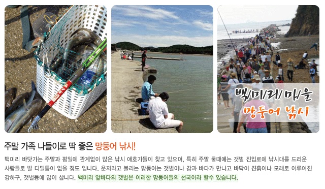 망둥어 낚시